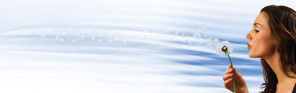 Lossnay Home Ventilation System